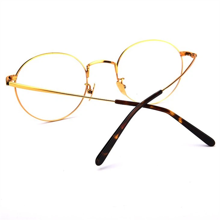 24K Gold Glasses in Titanium