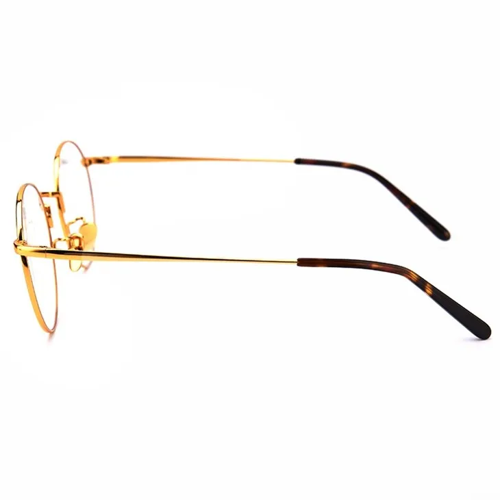 24K Gold Glasses in Titanium